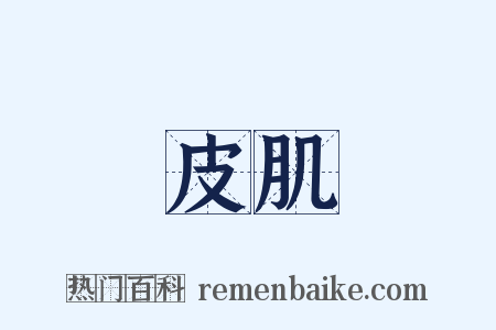 皮肌是什么意思的图片